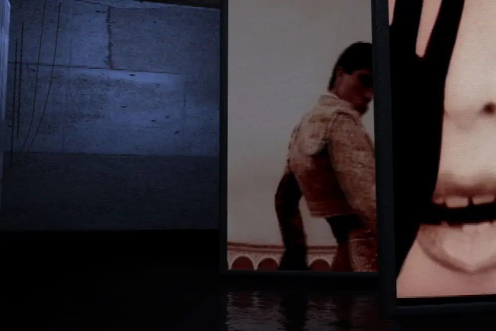 Screens passing close to camera in the gallery