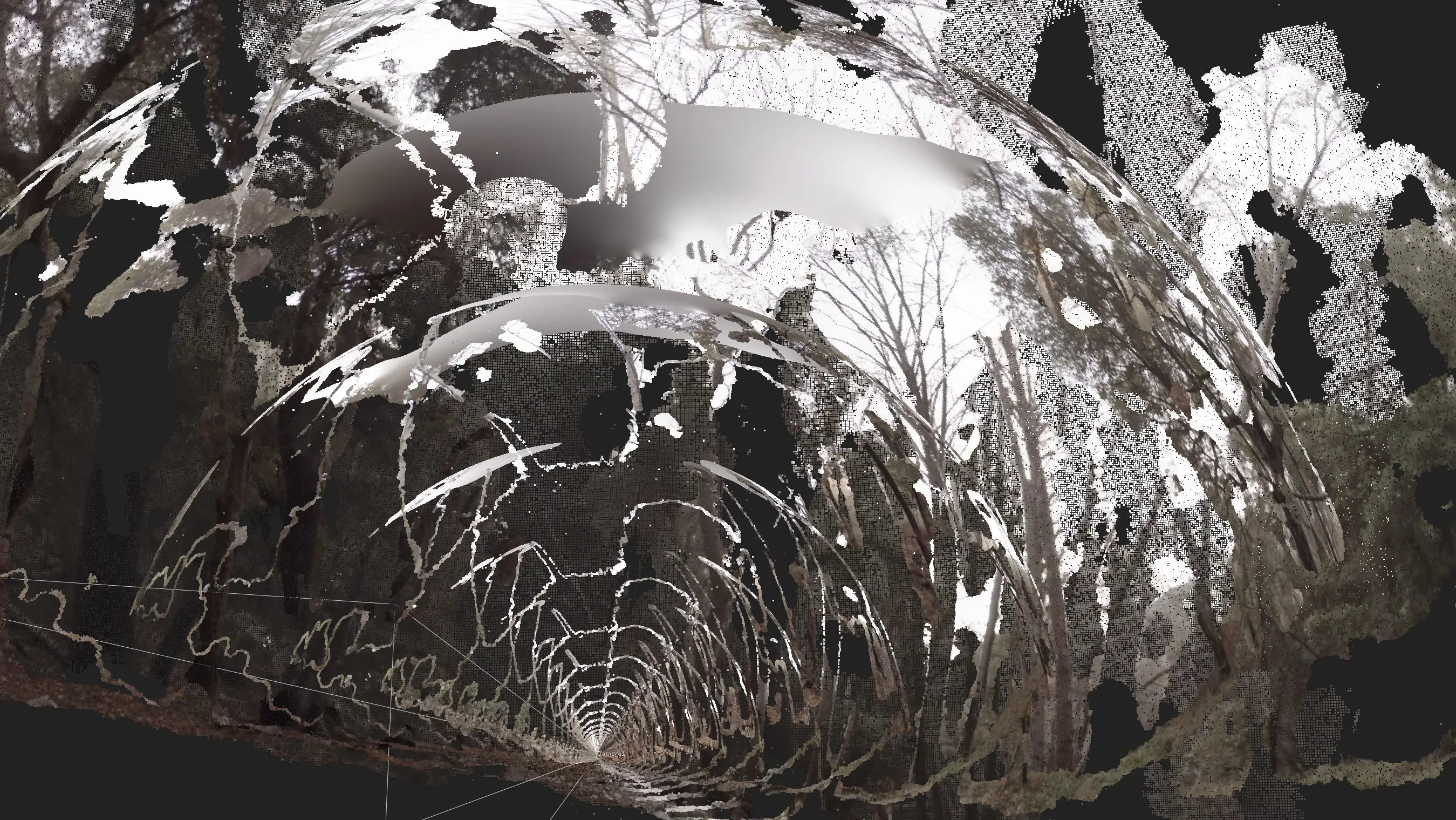 Switzer Falls point cloud reconstruction