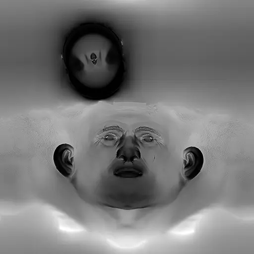 Unwrapped face texture map