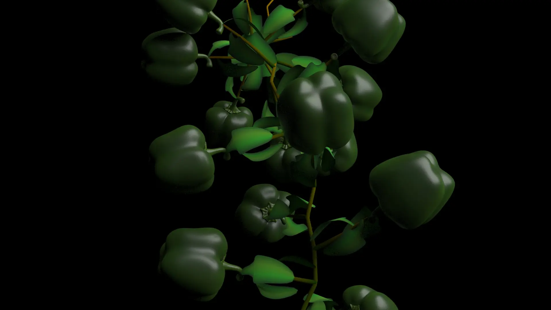 L-system pepper vine, green