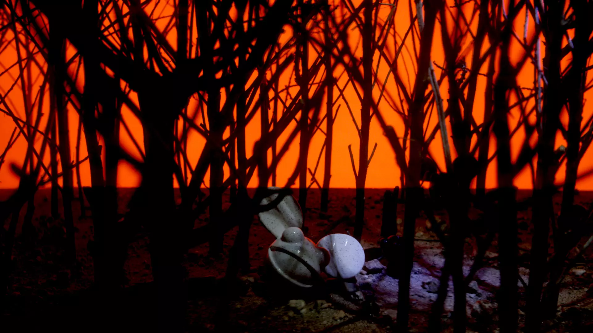 CG forest environment frame