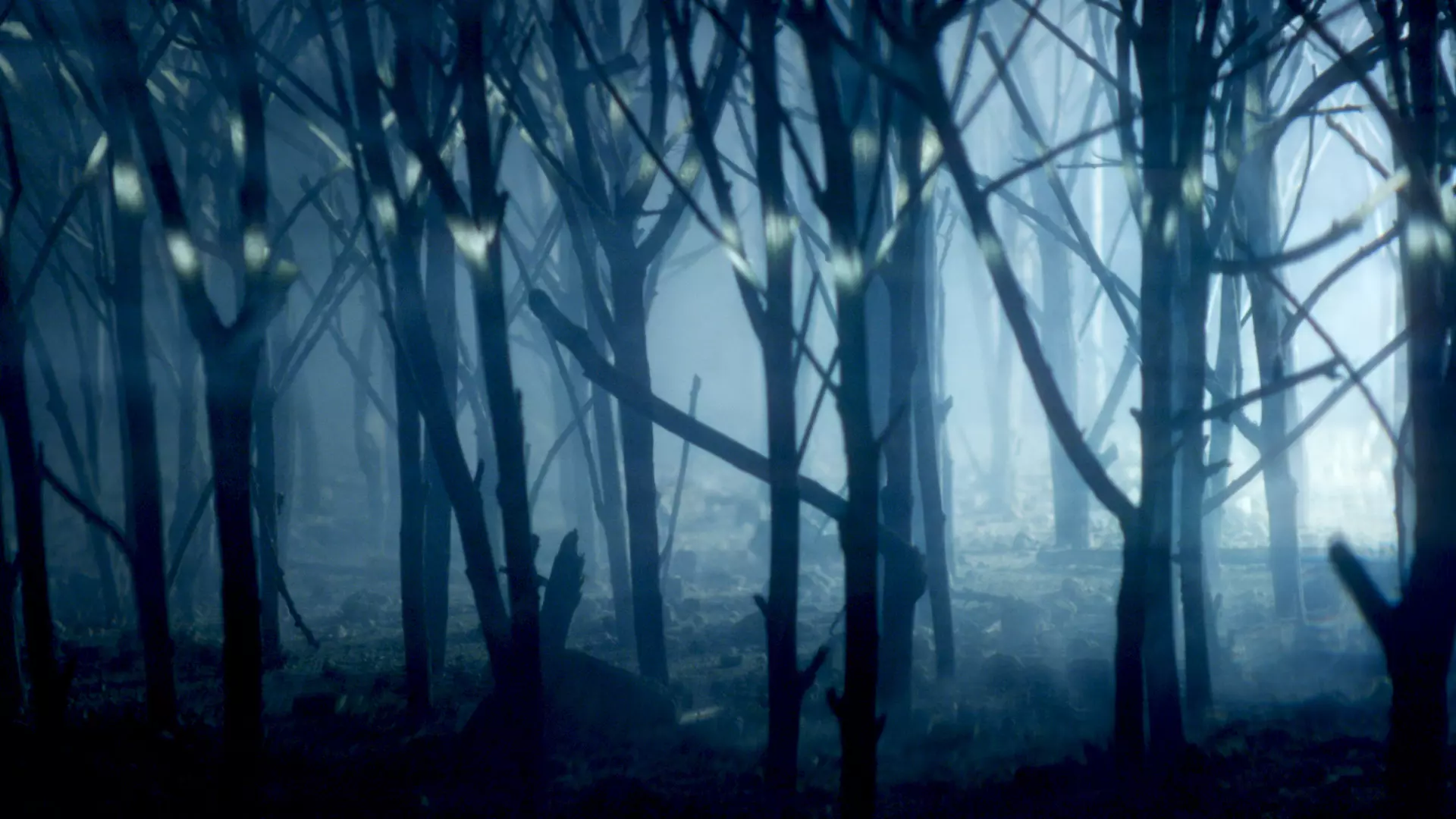 CG forest environment frame