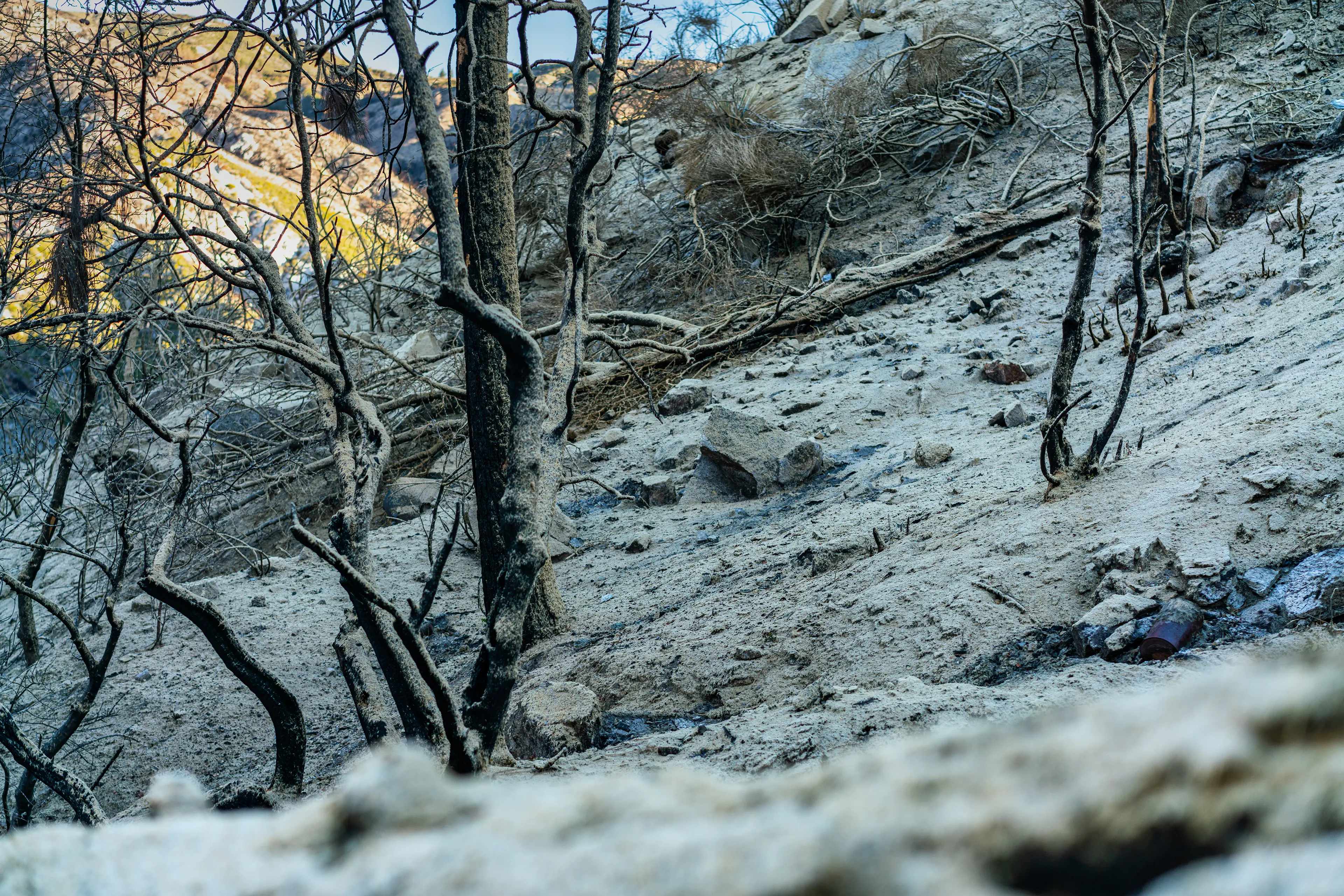 Angeles National Forest, San Gabriel Mountains · 12