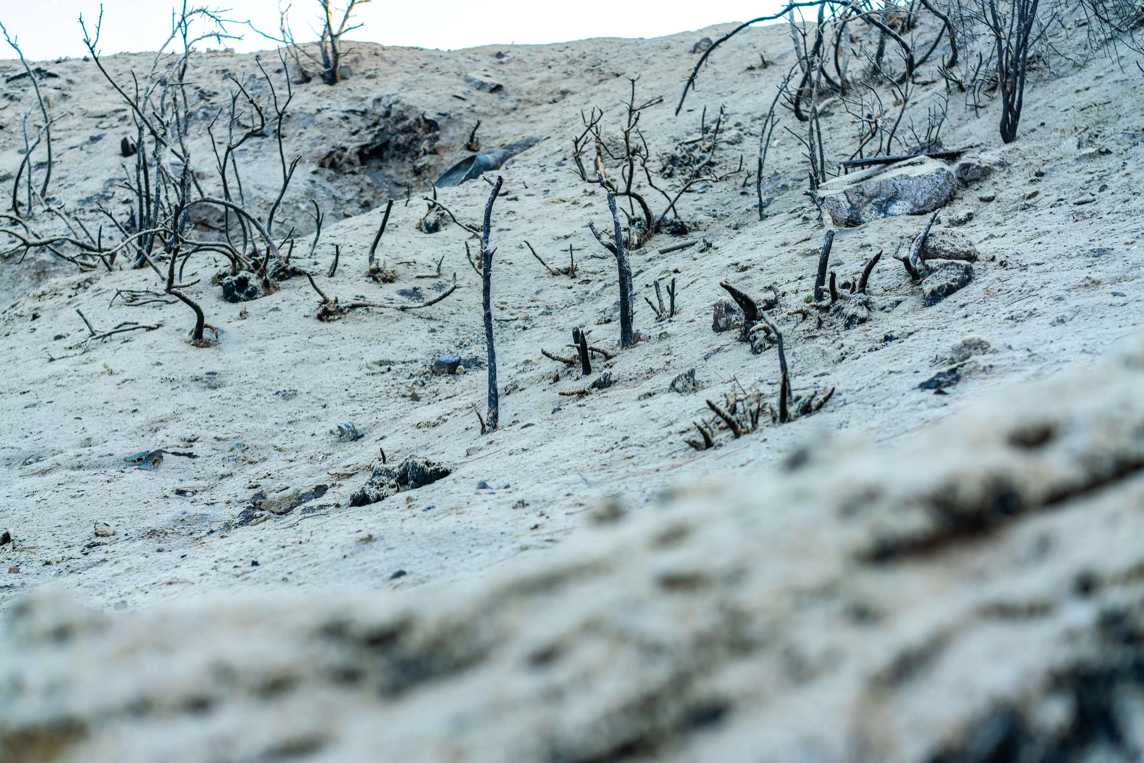 Angeles National Forest, San Gabriel Mountains · 13