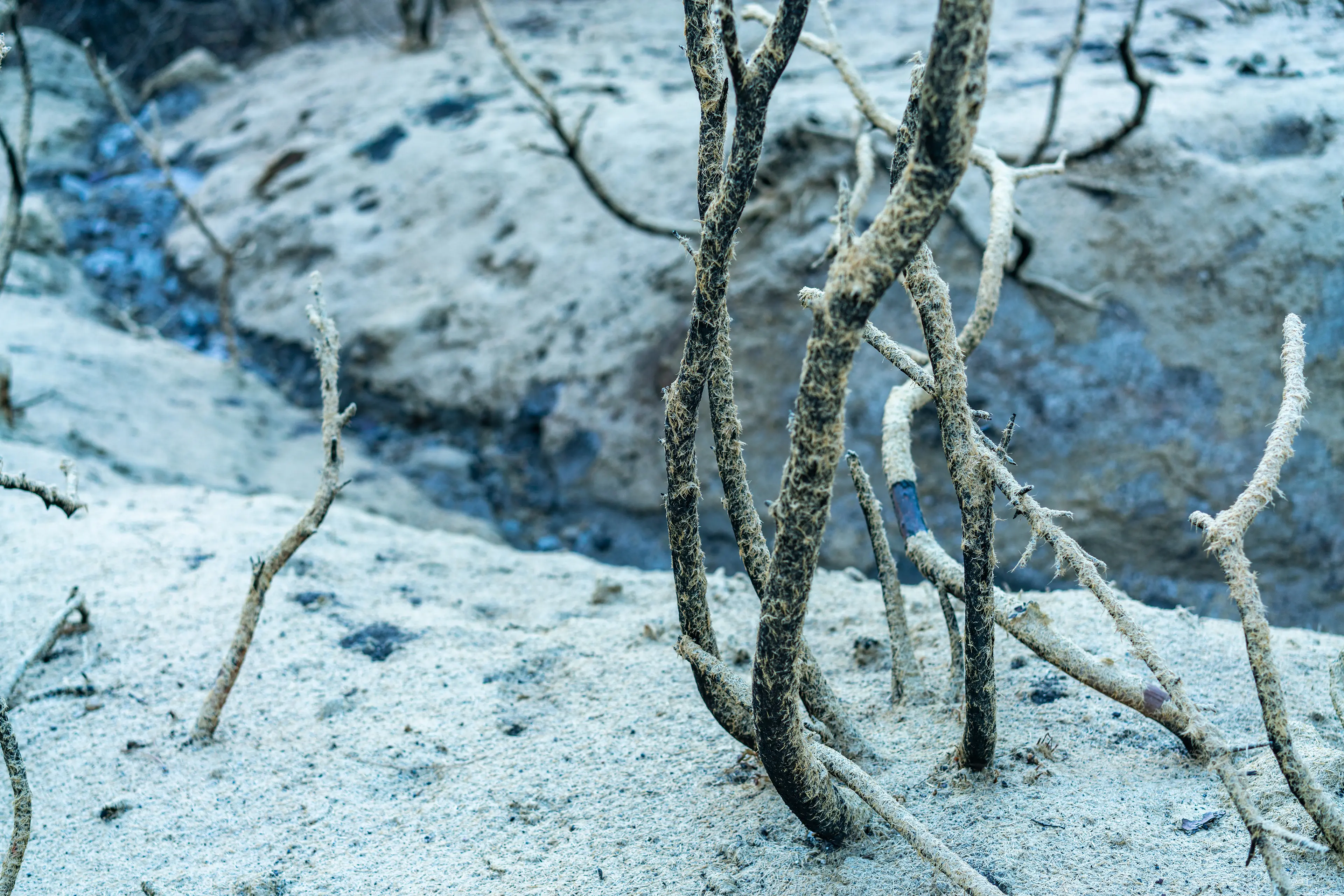 Angeles National Forest, San Gabriel Mountains · 15