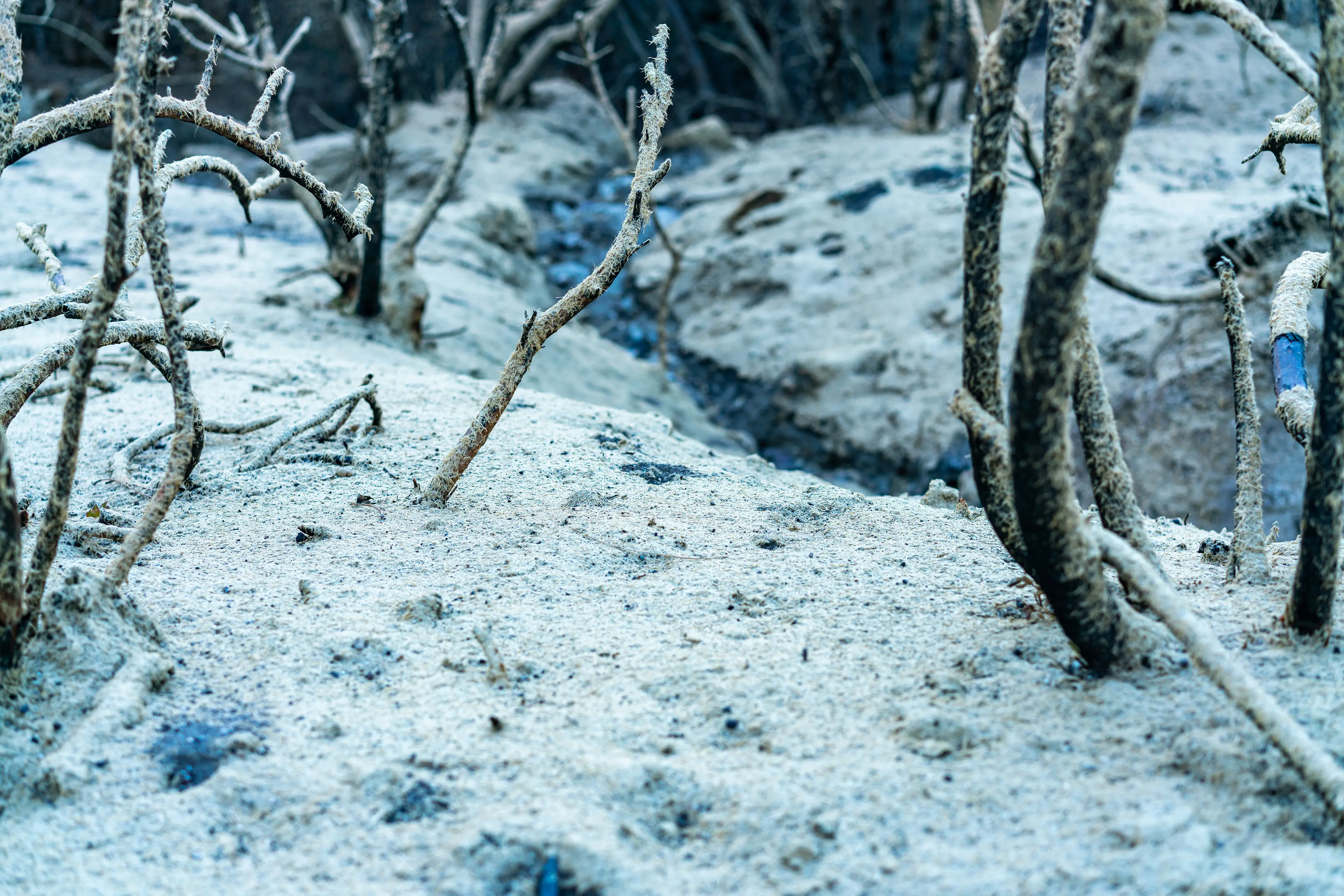 Angeles National Forest, San Gabriel Mountains · 16