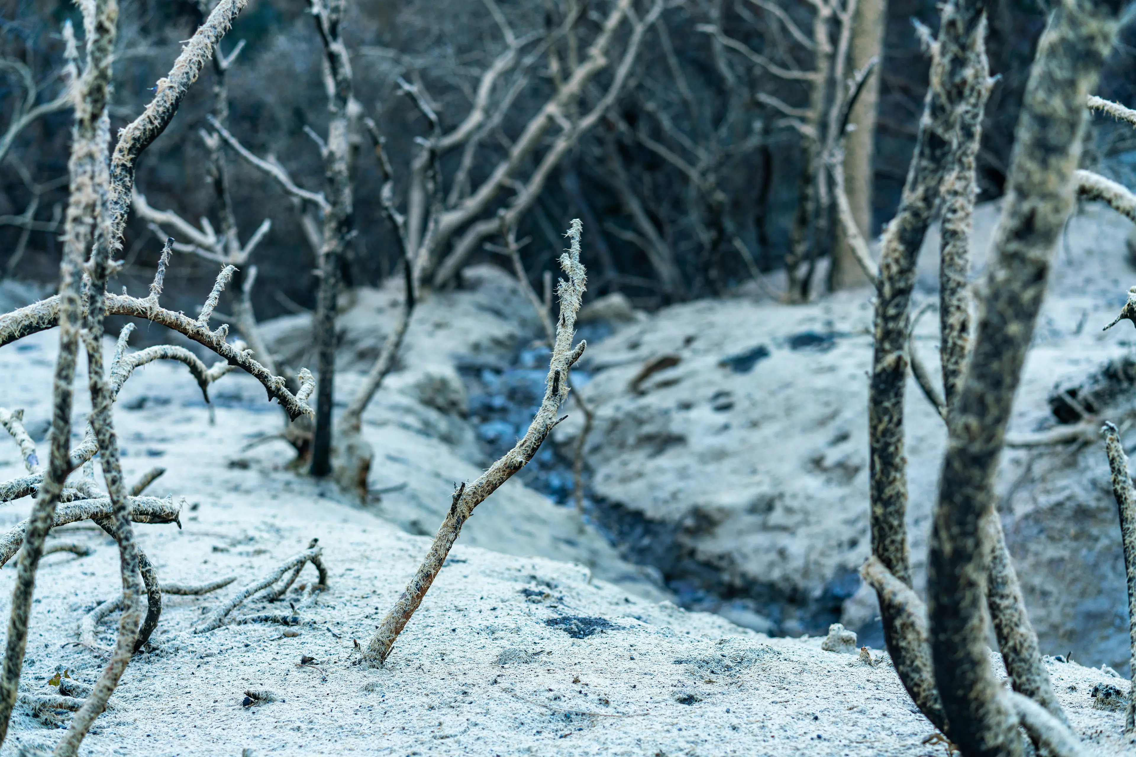 Angeles National Forest, San Gabriel Mountains · 17