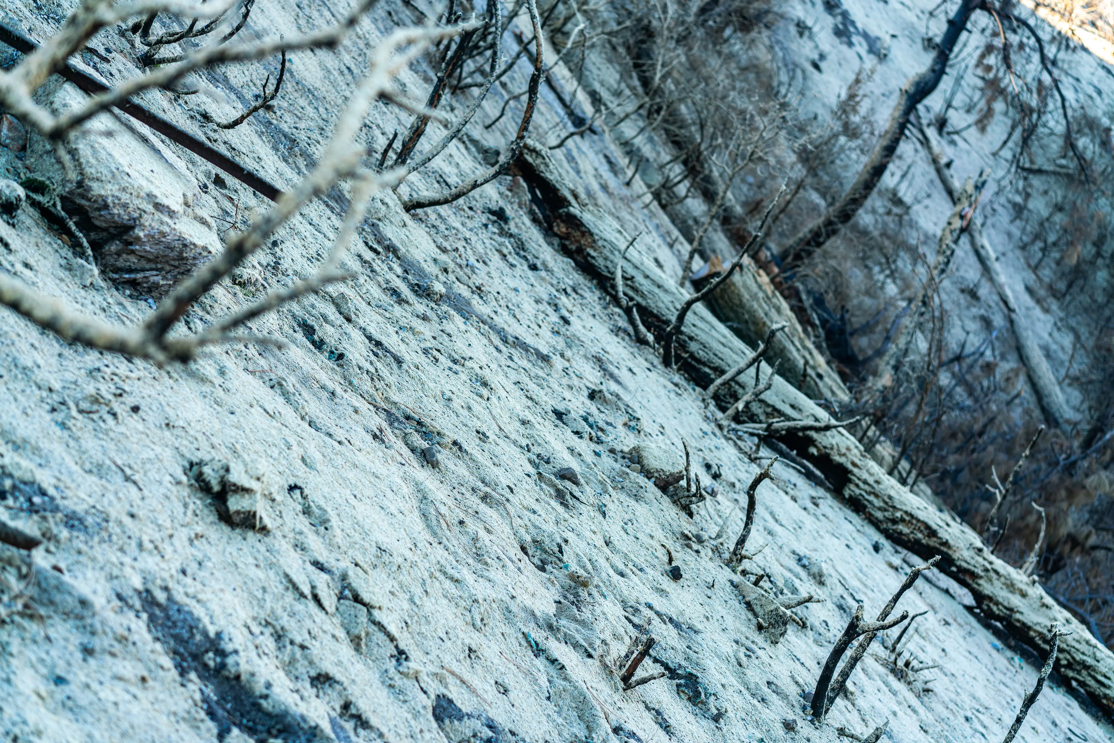 Angeles National Forest, San Gabriel Mountains · 19