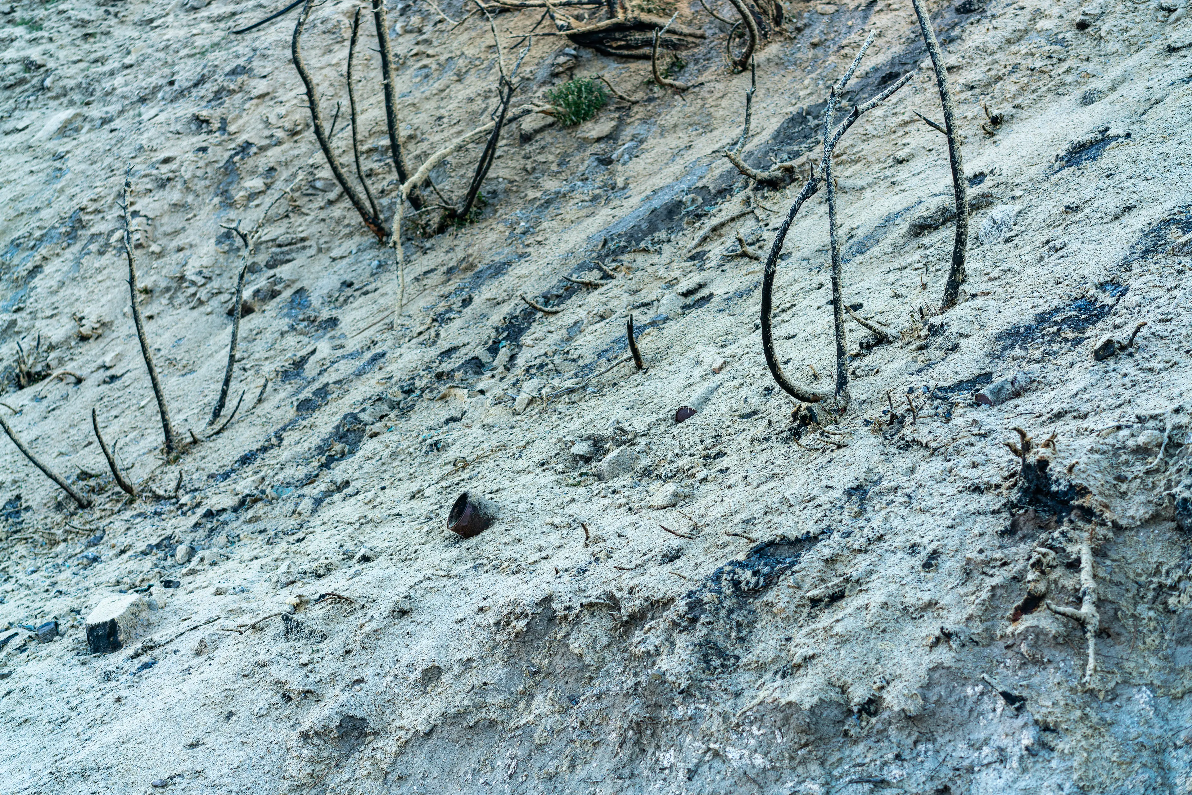 Angeles National Forest, San Gabriel Mountains · 20