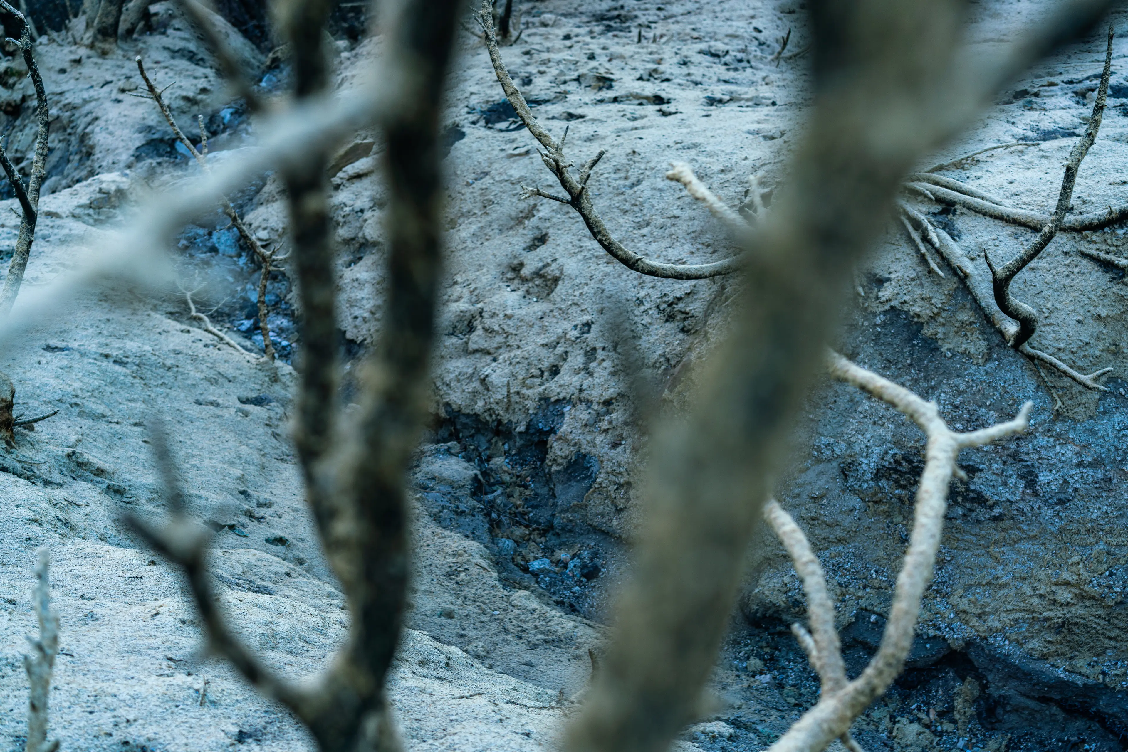 Angeles National Forest, San Gabriel Mountains · 23