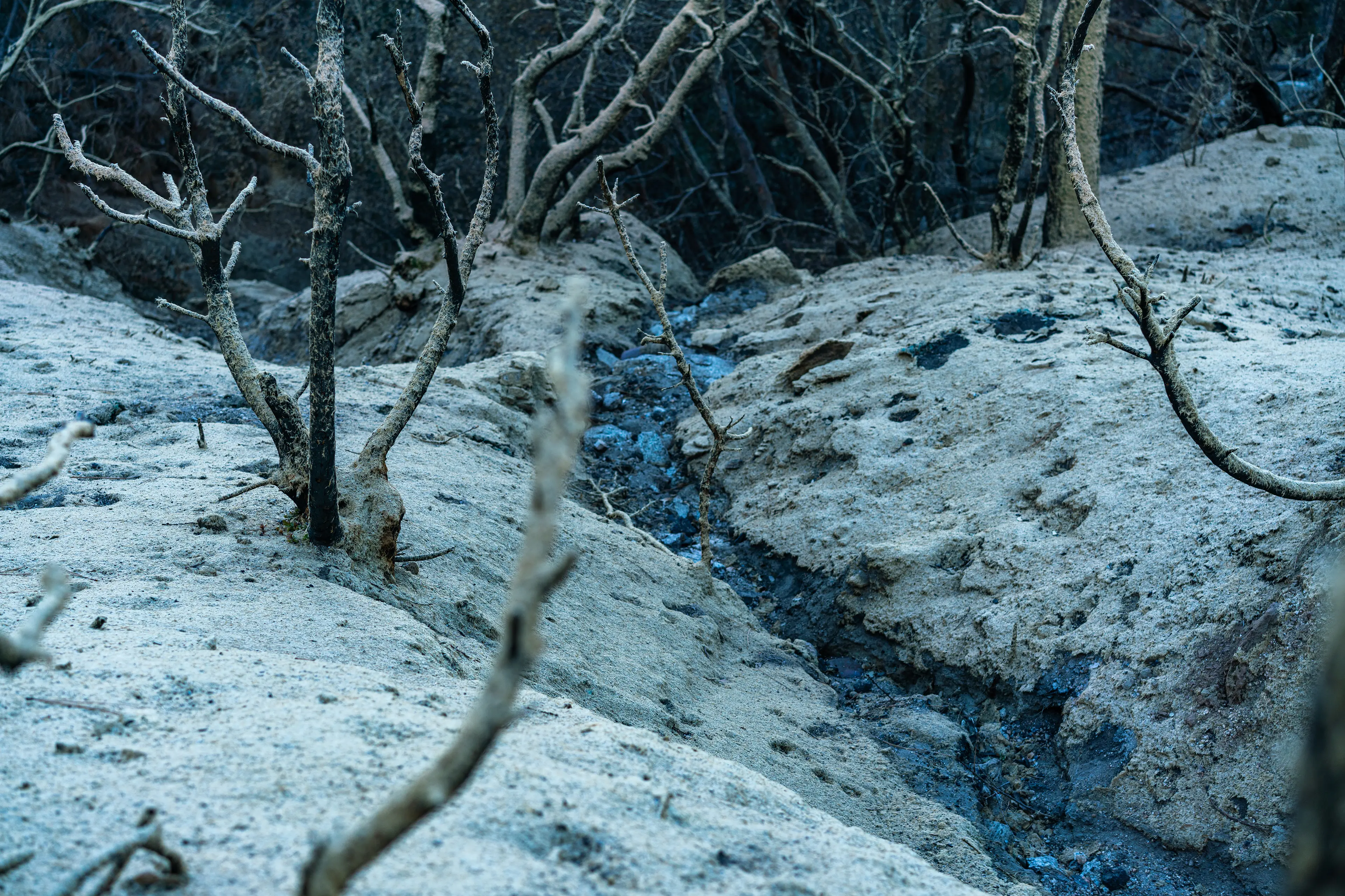 Angeles National Forest, San Gabriel Mountains · 24