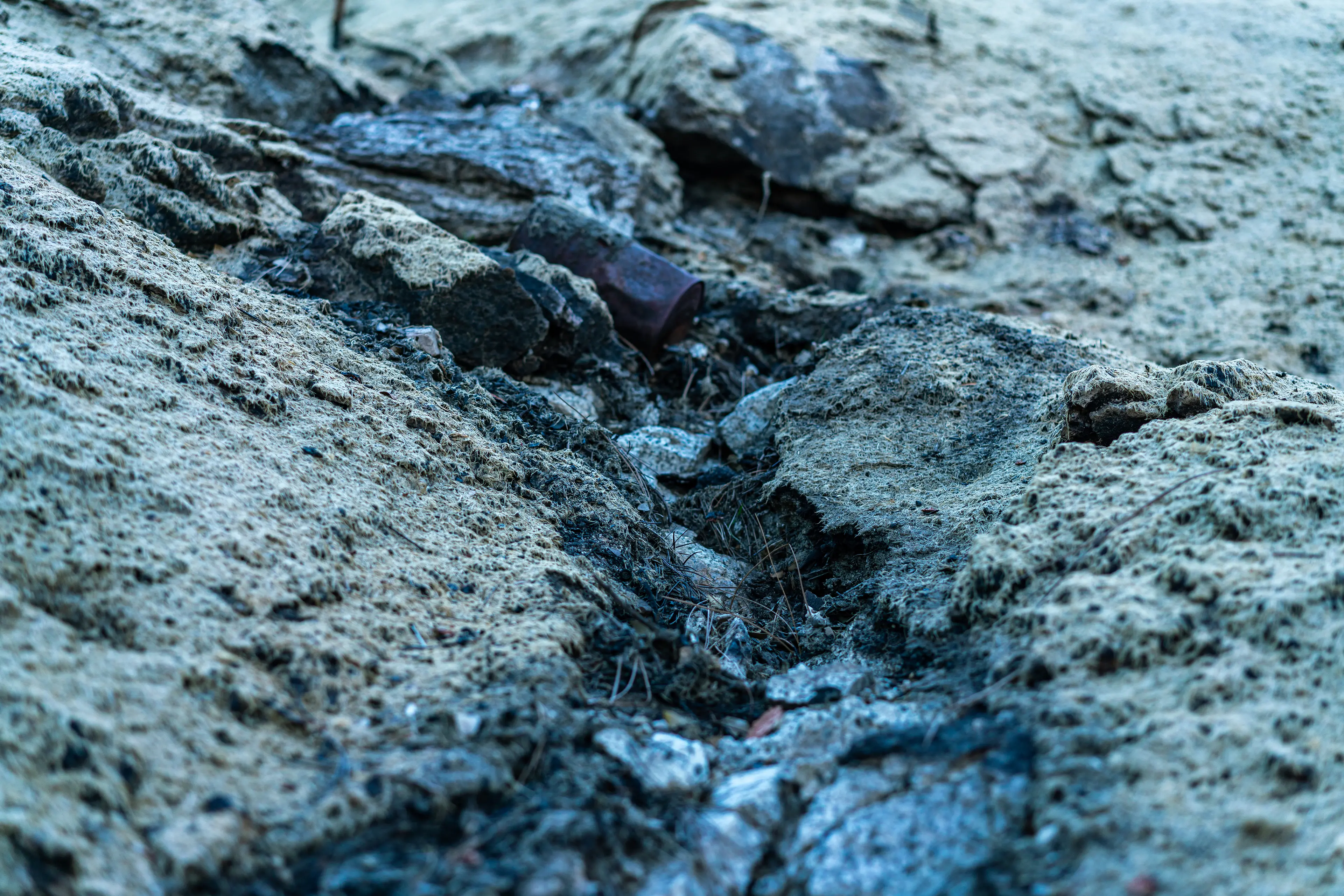 Angeles National Forest, San Gabriel Mountains · 04