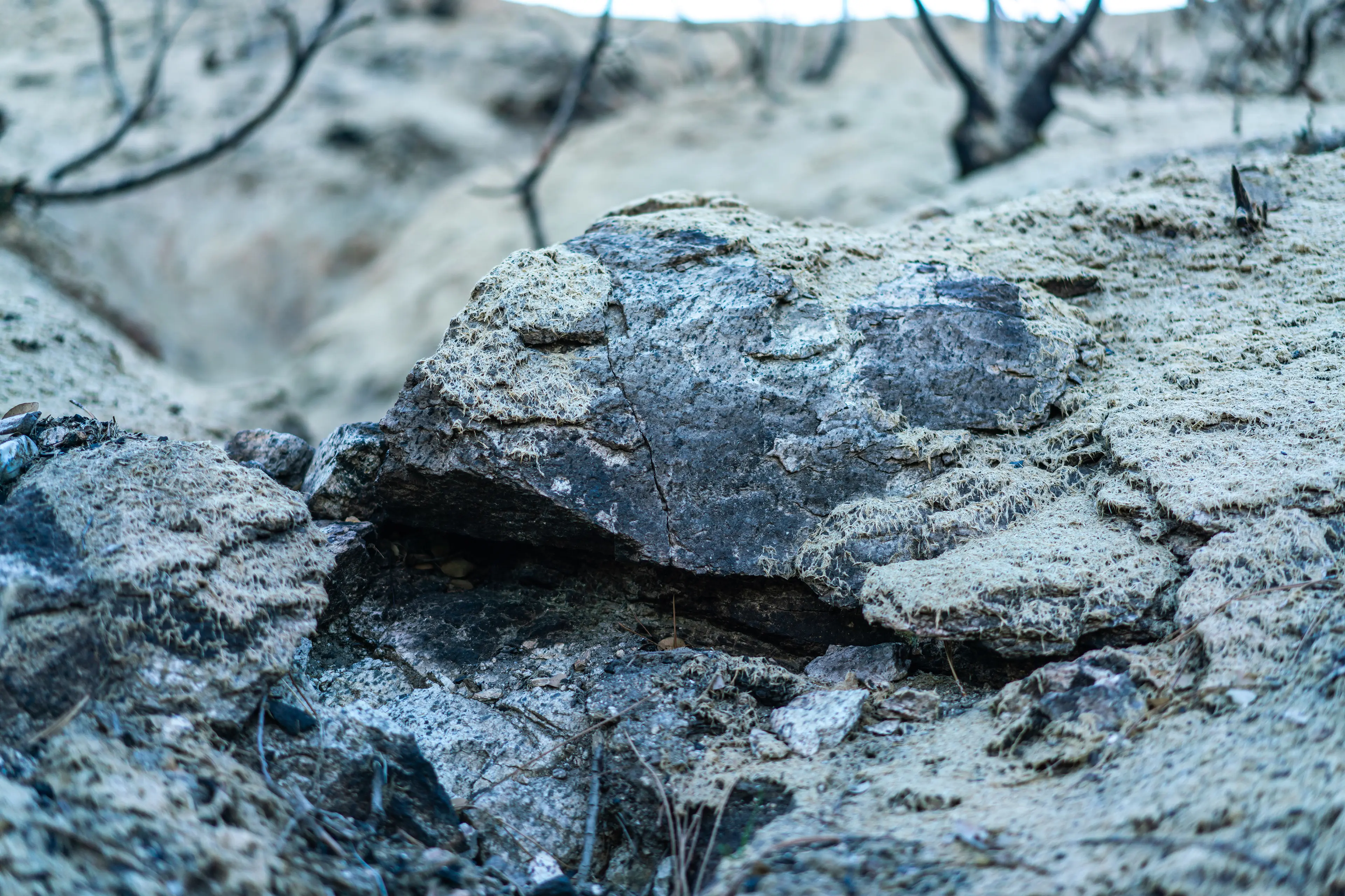 Angeles National Forest, San Gabriel Mountains · 06