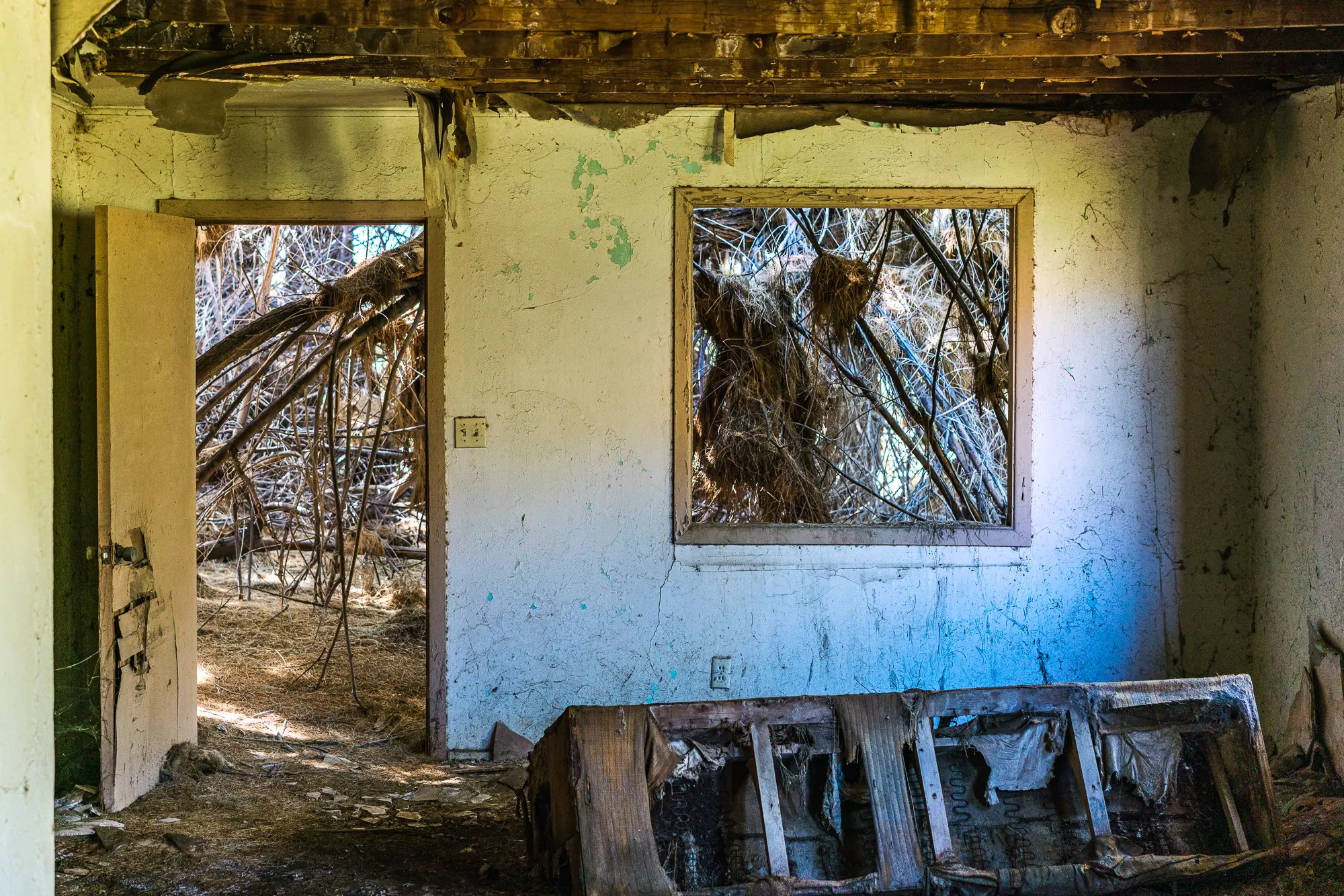 Untitled · 13