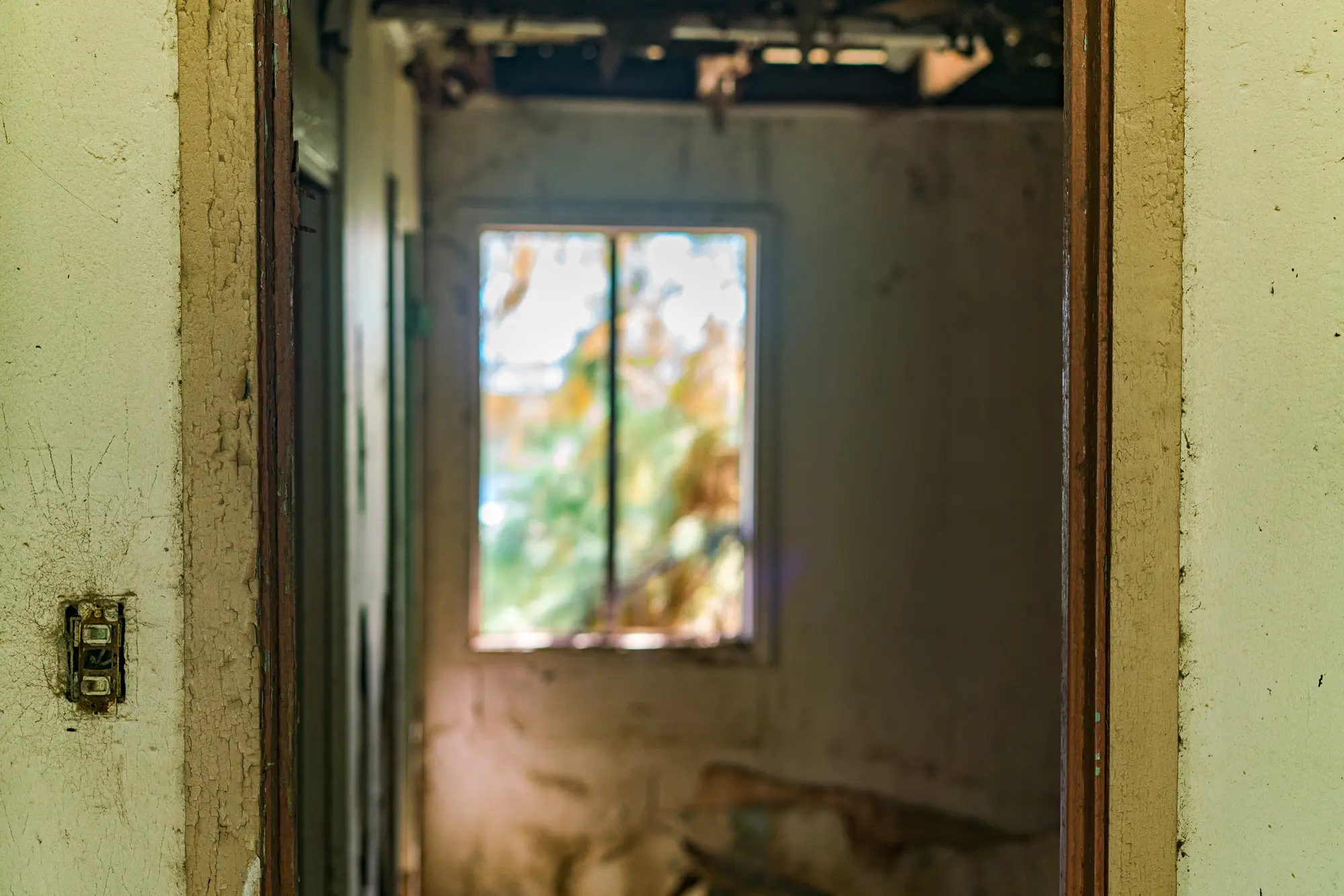 Untitled · 14