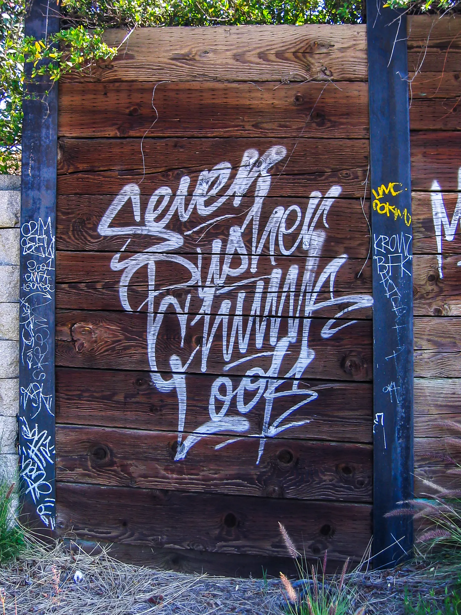 LA River series