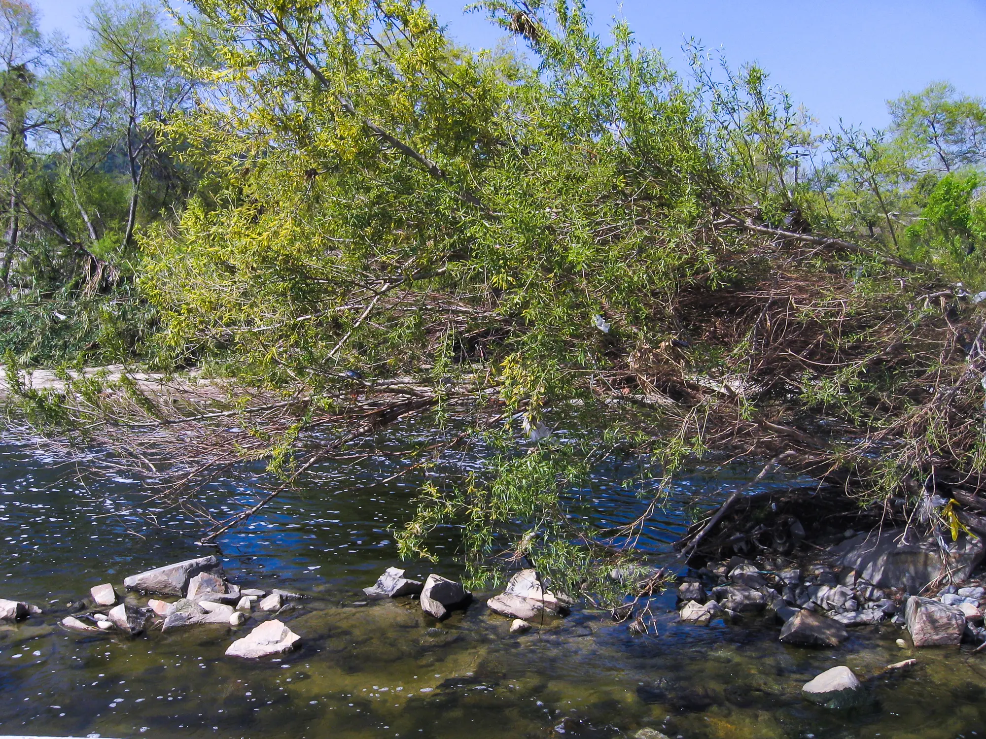 LA River, Los Angeles, 2006 · 13