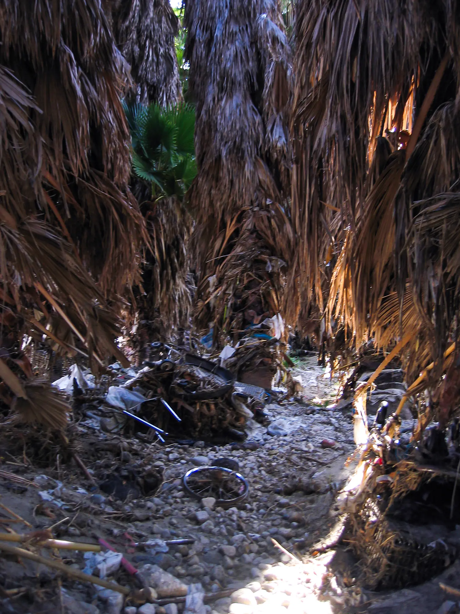 LA River, Los Angeles, 2006 · 09