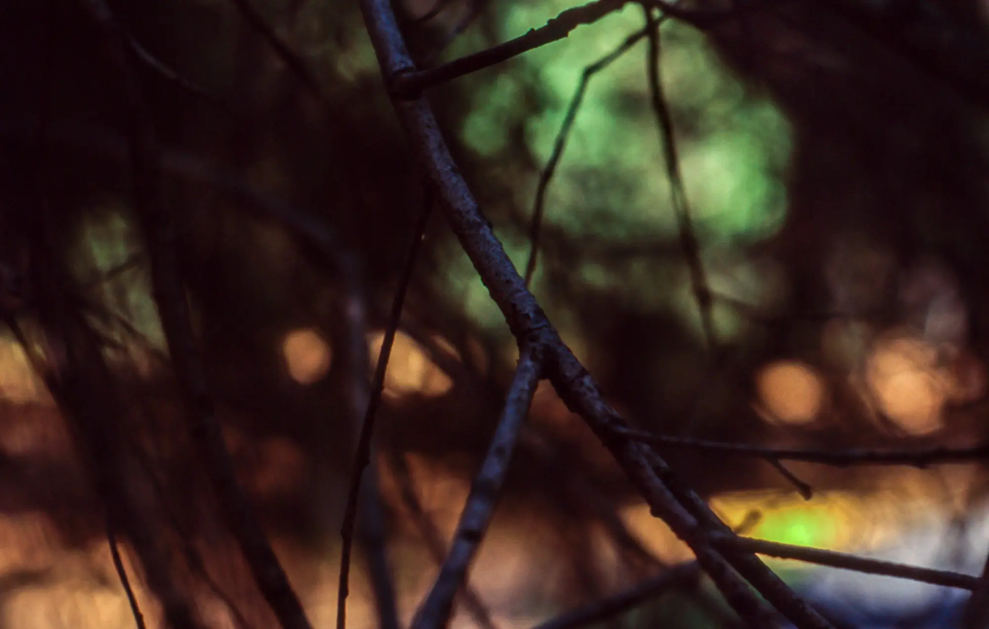 Untitled · 08