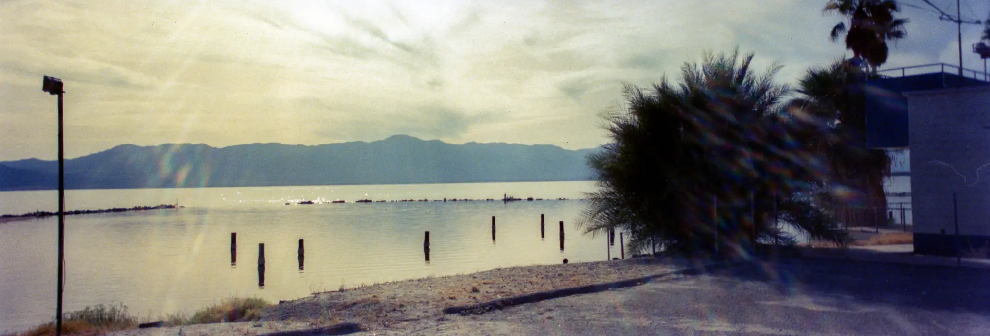 Untitled · 20